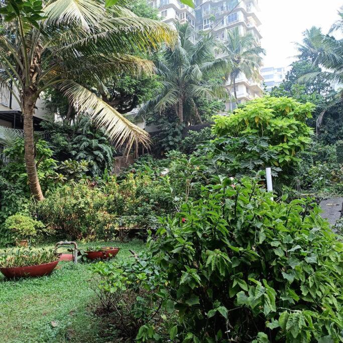 Cozy Private Ac Studio By The Sea Bandstand Bandra W Mumbai Nr Taj Lands End Leilighet Eksteriør bilde